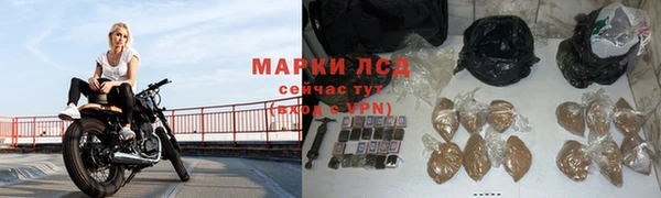 стафф Новозыбков