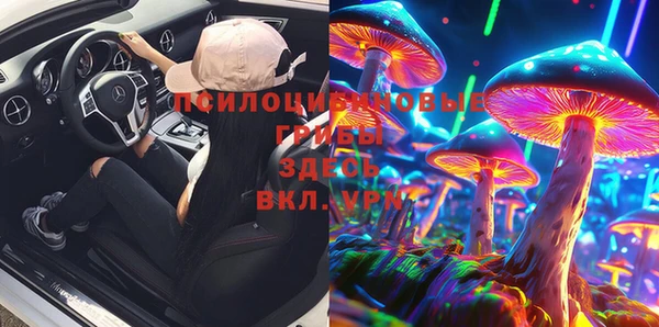 стафф Новозыбков