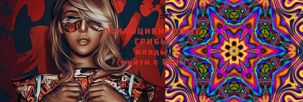 стафф Новозыбков
