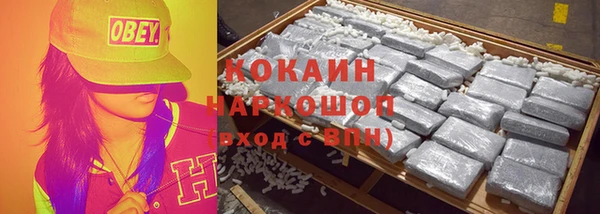 стафф Новозыбков
