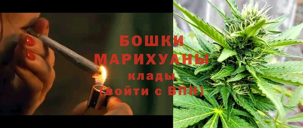 стафф Новозыбков