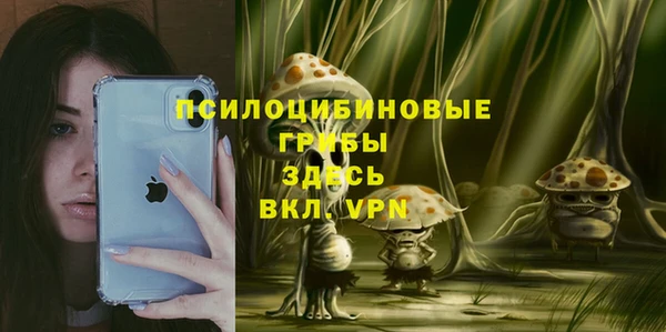 стафф Новозыбков