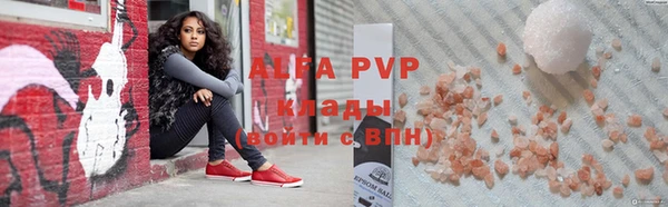 стафф Новозыбков