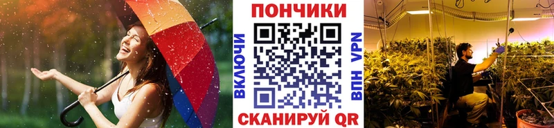 МАРИХУАНА семена Новомичуринск